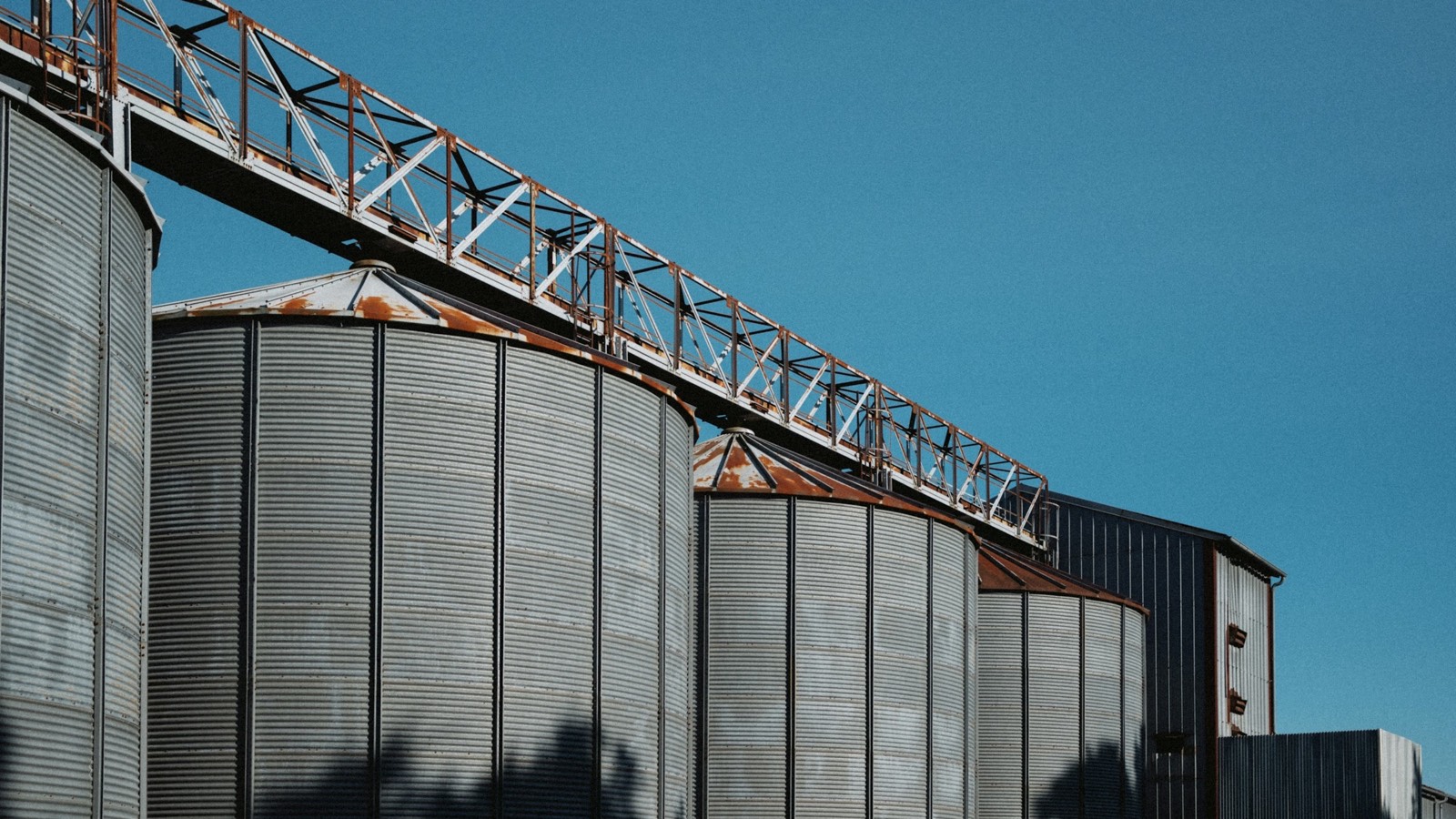 Large-scale rice and grain facility
